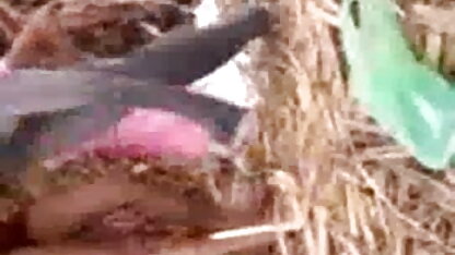सेक्स के बिना एक कंडोम के साथ सुंदर एशियाई सेक्स करने वाली वीडियो मूवी आदमी