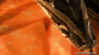 ट्रांस-लॉन्गमिंट का सबसे सनी देओल सेक्सी मूवी लोकप्रिय संग्रह, भाग 1